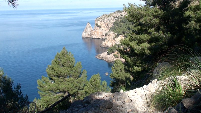 Still 105.jpg - Ca Costera
